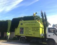 Murf’s Tree Service image 1